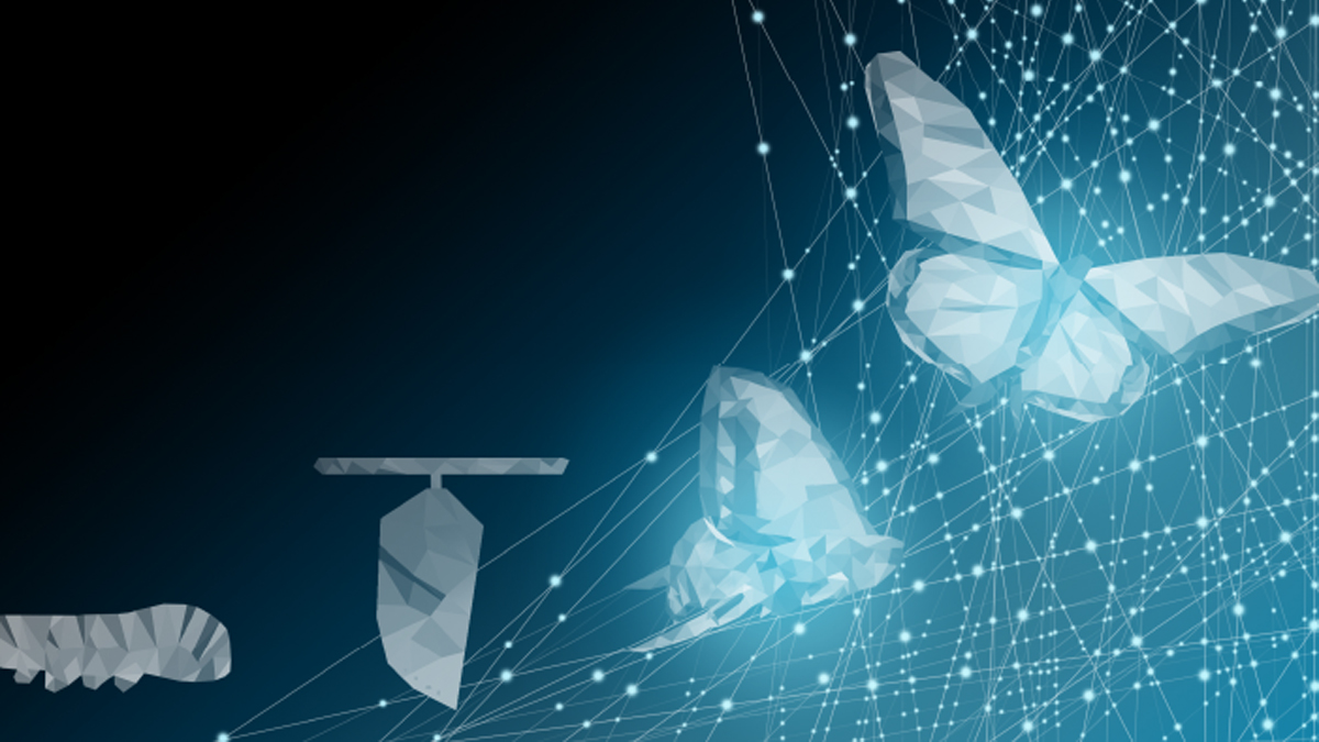 call for papers transformation agenda